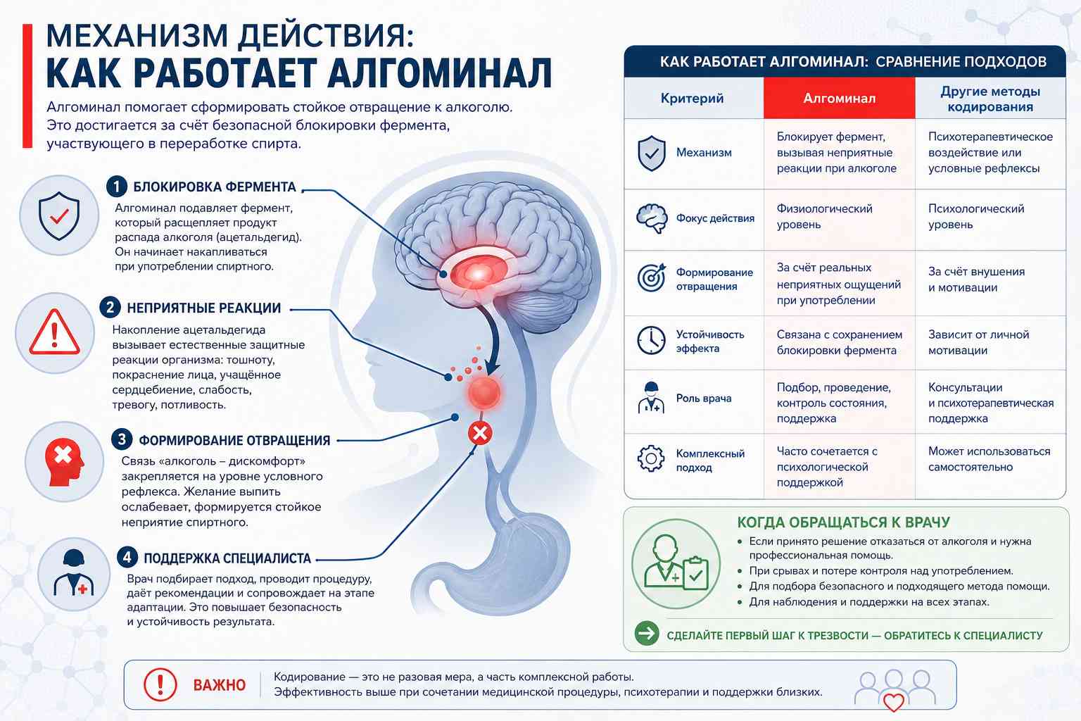Инфографика объясняет механизм действия Алгоминала